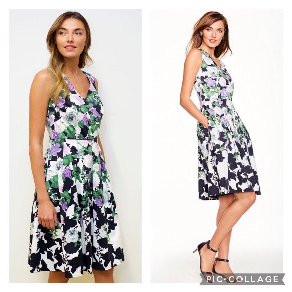 NWOT Talbots Petite Oprah Magazine Collection Hydrangea Printed Shift Dress